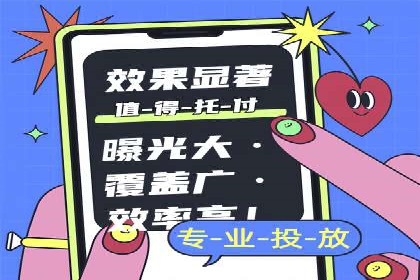 SEM运营策略案例分析